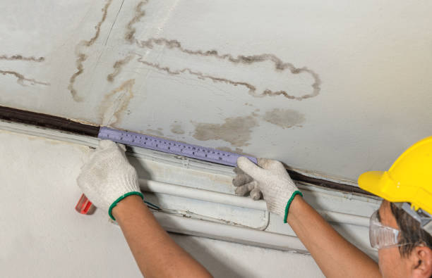 Reliable Flood Cleanup contractor in Kingsley, MI by Water Damage Irwin